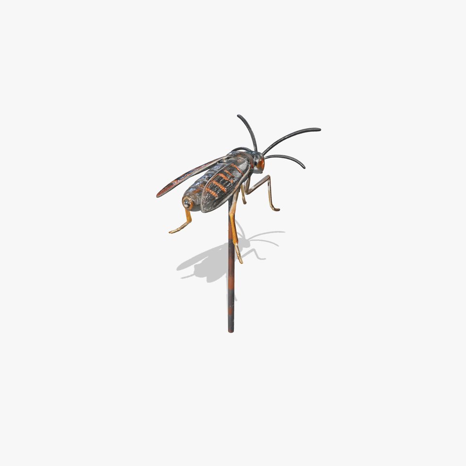 Realistic Insect Model Pack for Game and Film Production
